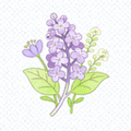 开心五月丁香花综合网 Logo - 绿色主题影视平台标志